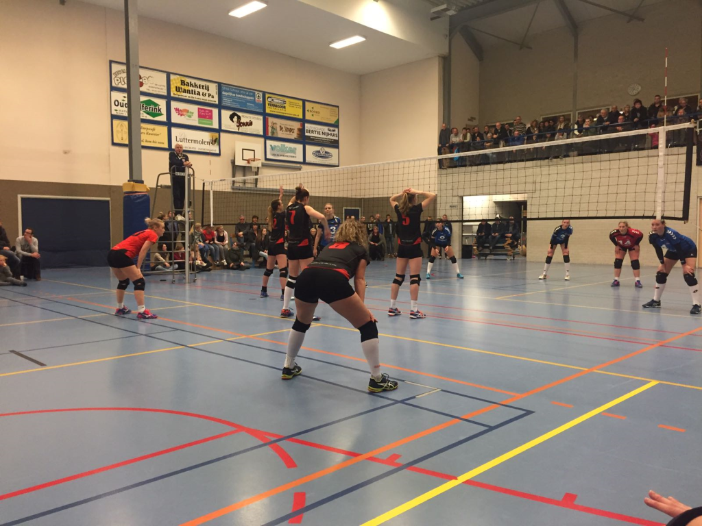 LutheriaWVCvolley